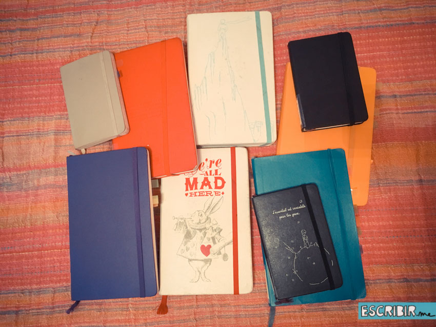 De todos estos cuadernos salieron ideas para el libro.